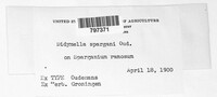 Image Associated With the Occurence